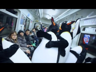 penguins in the subway